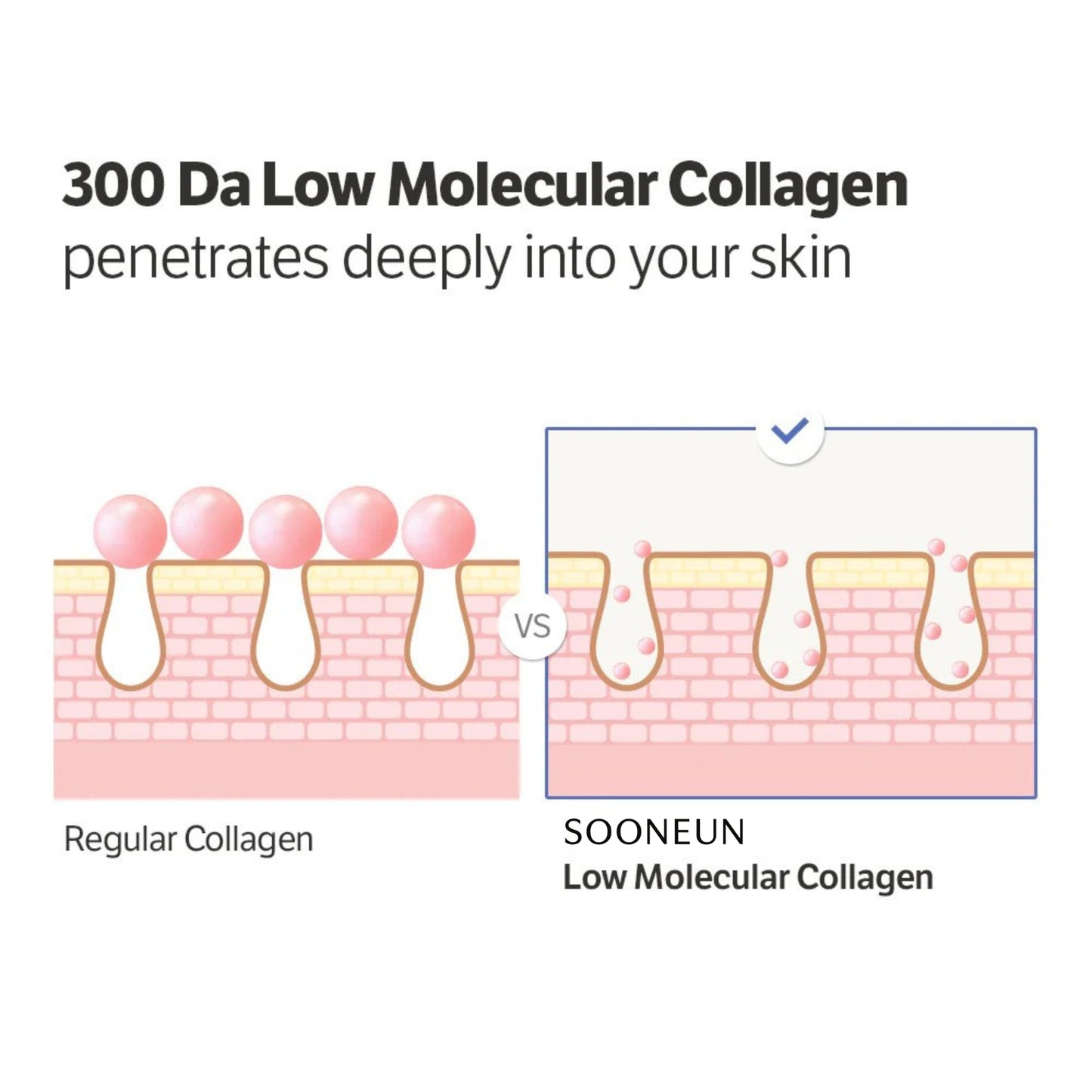 Sooneun Skin™ Anti-Aging Bundle